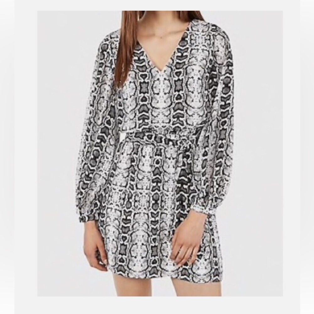 Express Snake Print Dress